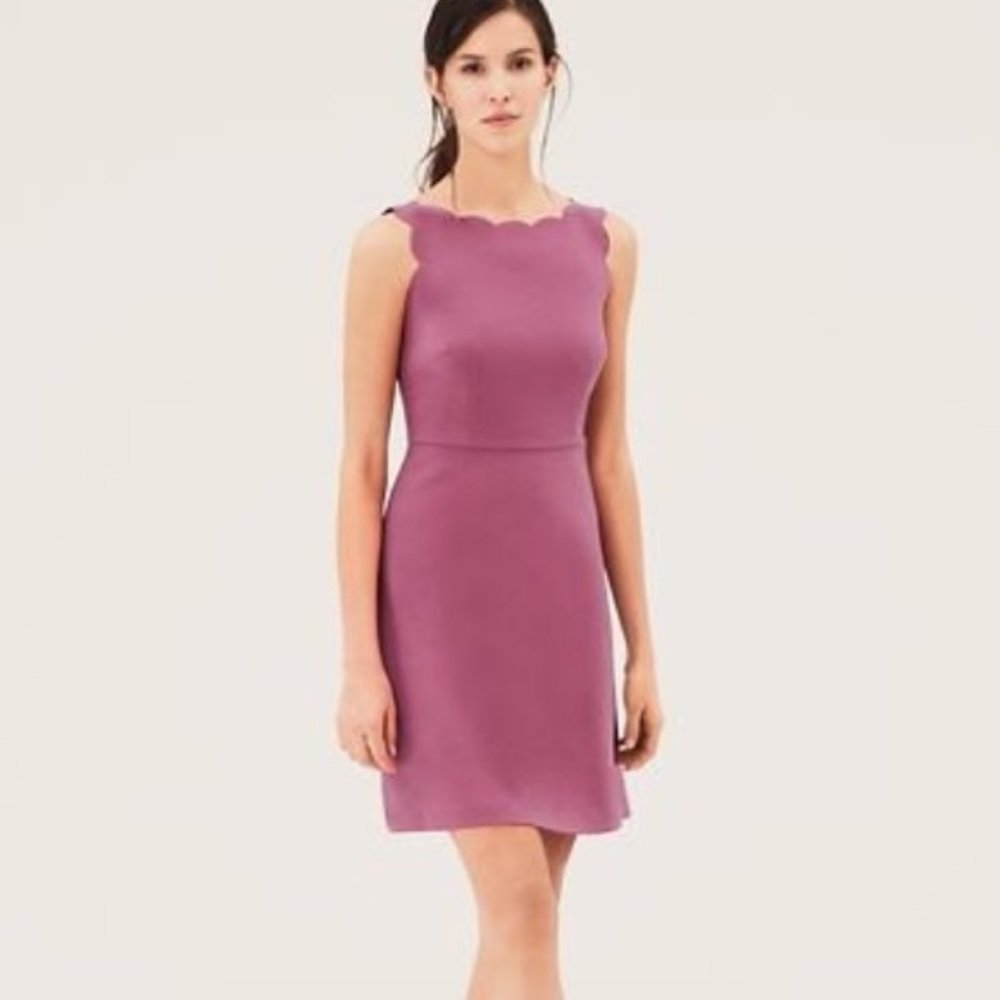 Loft Pink 💗 Scallop A-Line Dress 👗